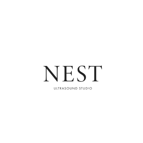 NEST Ultrasound Studio logo